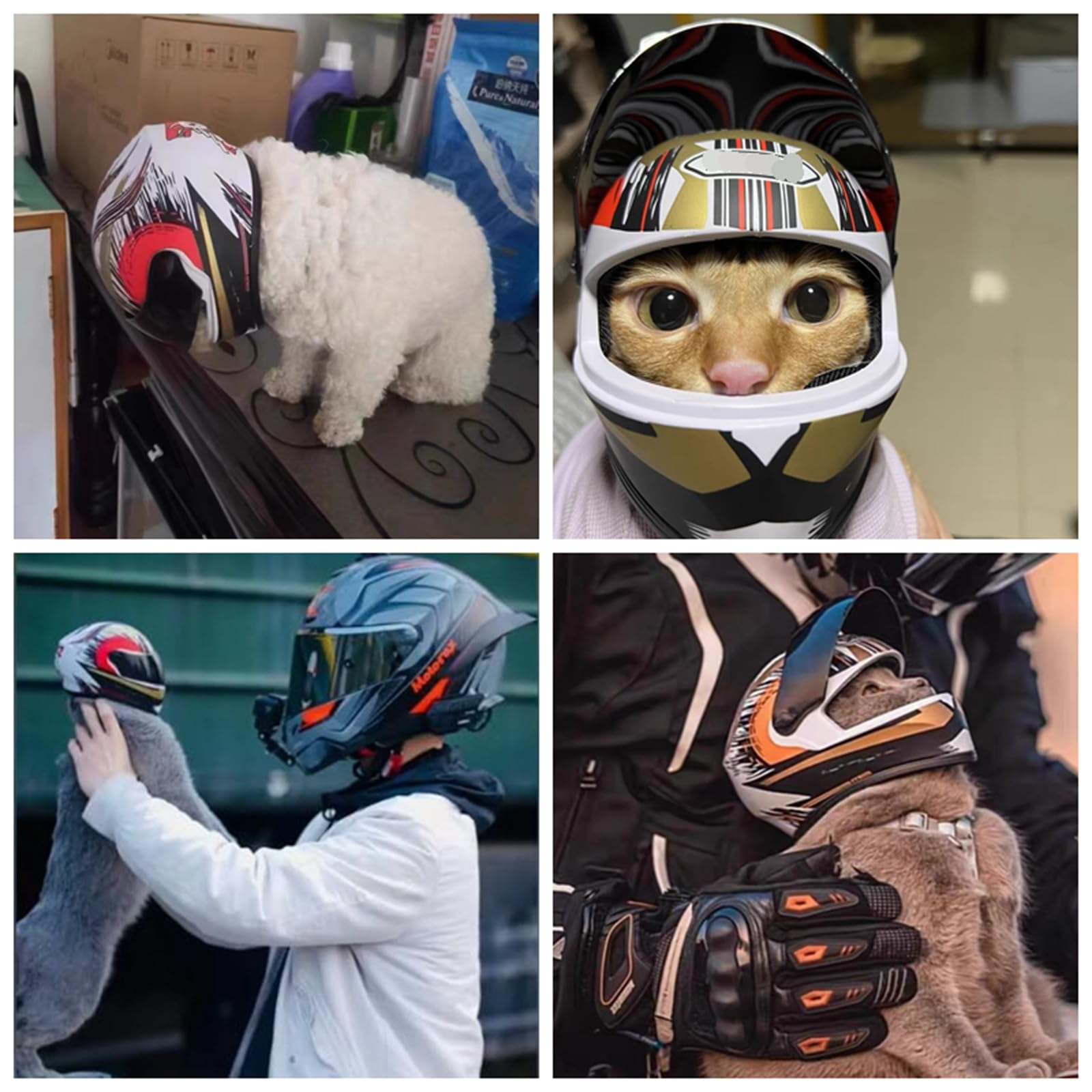animal rescue motorcycle helmet Amazon.com : Pet Motorcycle Helmet Dog/Cat Full Face Motorcycle Helmet  Outdoor Motorcycle Bike Riding Helmet Hat for Cat Dog Doggie Puppy Kitten  Pet Supplies Racing Car Fan Collectible Small Gift (Multicolor) :
