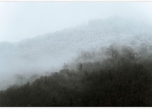 Miniatura 2 de SIGNWIN Adhesivo mural removible para pared, niebla y niebla, montaña, ladera, bosque, naturaleza, desierto, fotografía, realismo, paisaje