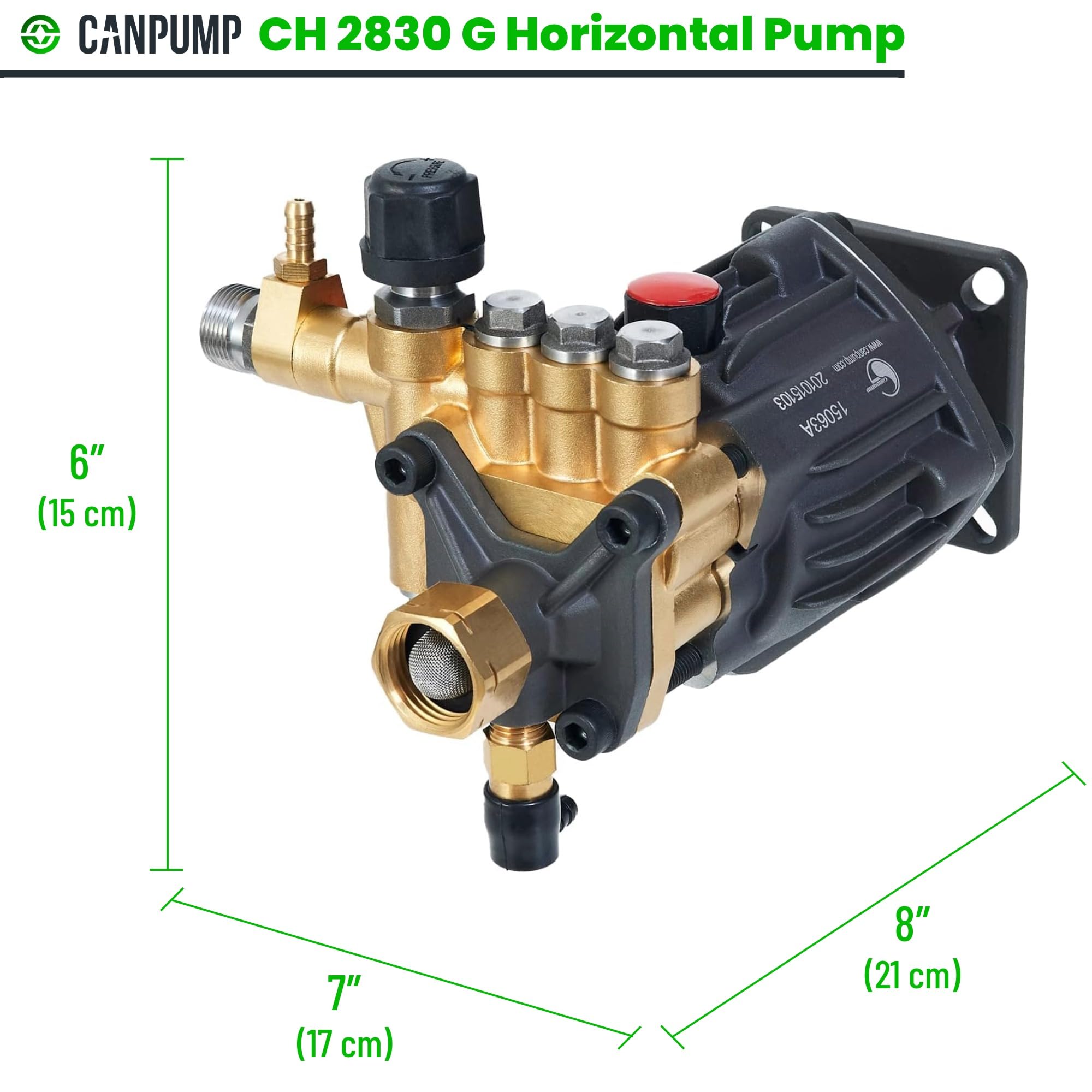 Axial Hochdruckreiniger Pumpe 2700 psi 6,5 PS 3/4 Zoll Schaft für Cat General AR