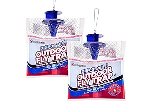 Porch Fly Trap: A Fly-Free Outdoor Haven