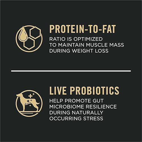 Miniatura 2 de Purina Pro Plan - Alimento seco para perros adultos