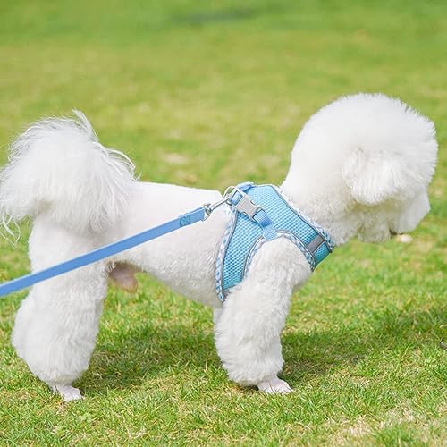 Miniatura 7 de Juego de arnés y correa reflectante para cachorro, suave, transpirable, ligero, chaleco para mascotas con cuello halter para perros XXS XS, XS, S,