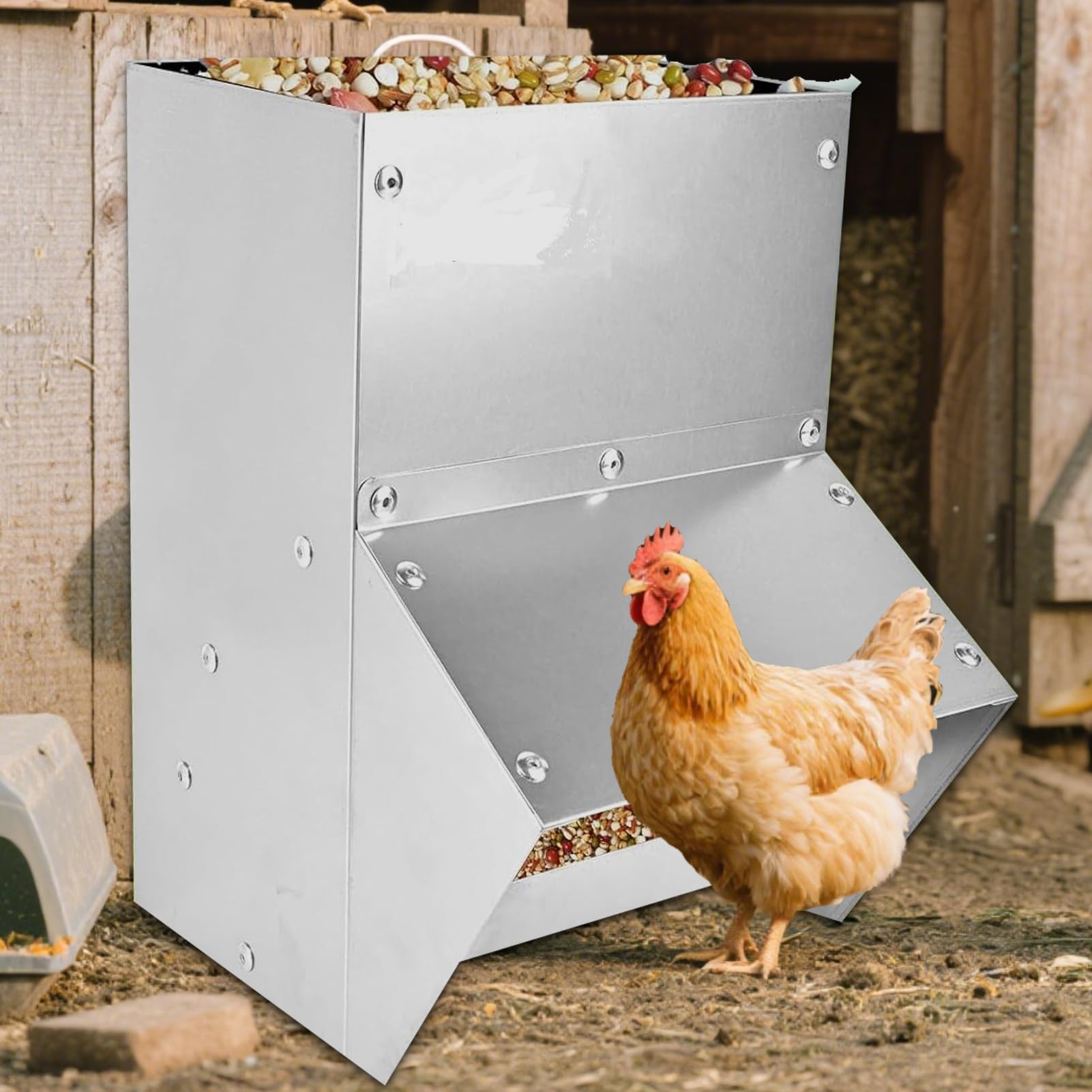 Sin Desperdicio para Pollos Equipo de alimentación para Aves | para patos, antidesperdicio y resistente al clima para patos, gallinas enanas, faisanes, gallineros, exterior y