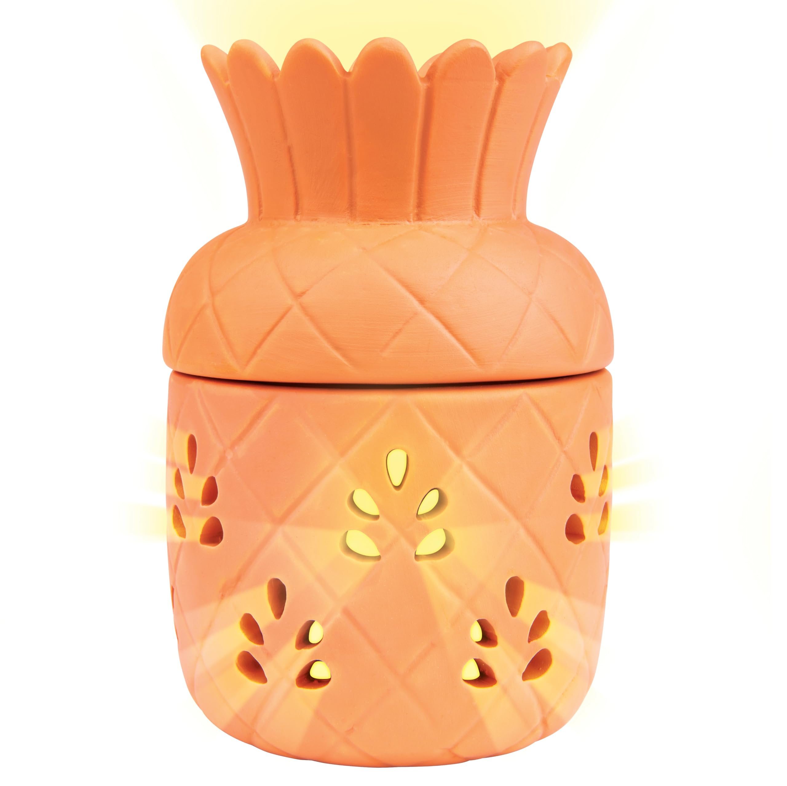 Amazon.com: ZendoZones Patio Pineapple Citronella Candle
