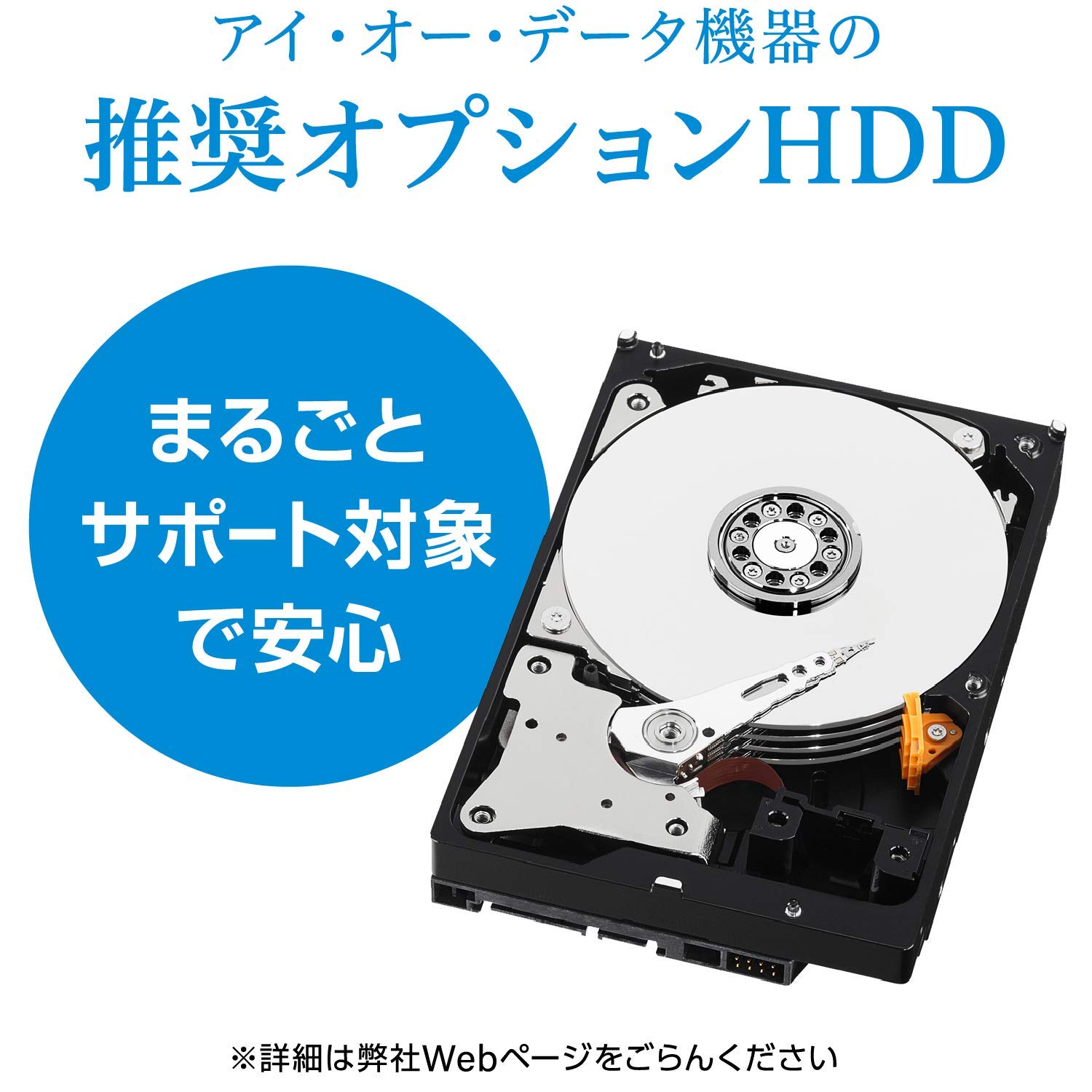 IO Data NAS Kit Dual Core CPU 2.5GbE Multi-Gigabit Mirroring (RAID