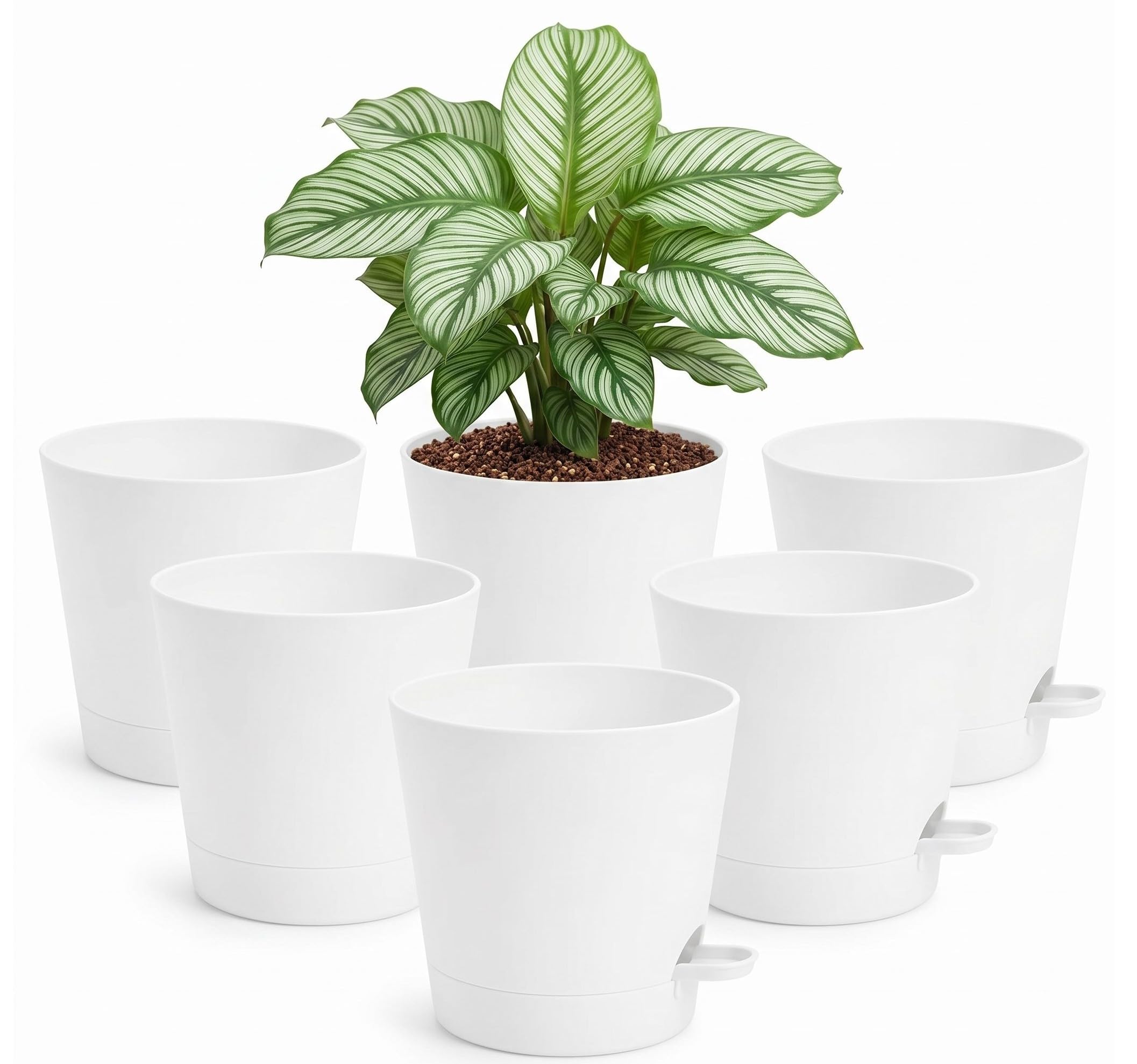 Elsjoy 6 Pack Self Watering Plant Pots, 16.5cm (6.5 Inch) White Plastic Planter with Easy-Fill Watering Lip & Drainage Tray - Mess-Free Indoor Flower Pots for House Plants, Herbs, Succulents, Garden