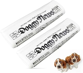 GabeFish 2 PCS Newspaper Dog Toy, 6.2 x 2.1-in (16 x 6.5 cm), Funny Chew Toys for Dogs, Teething Chew Toys for Dog