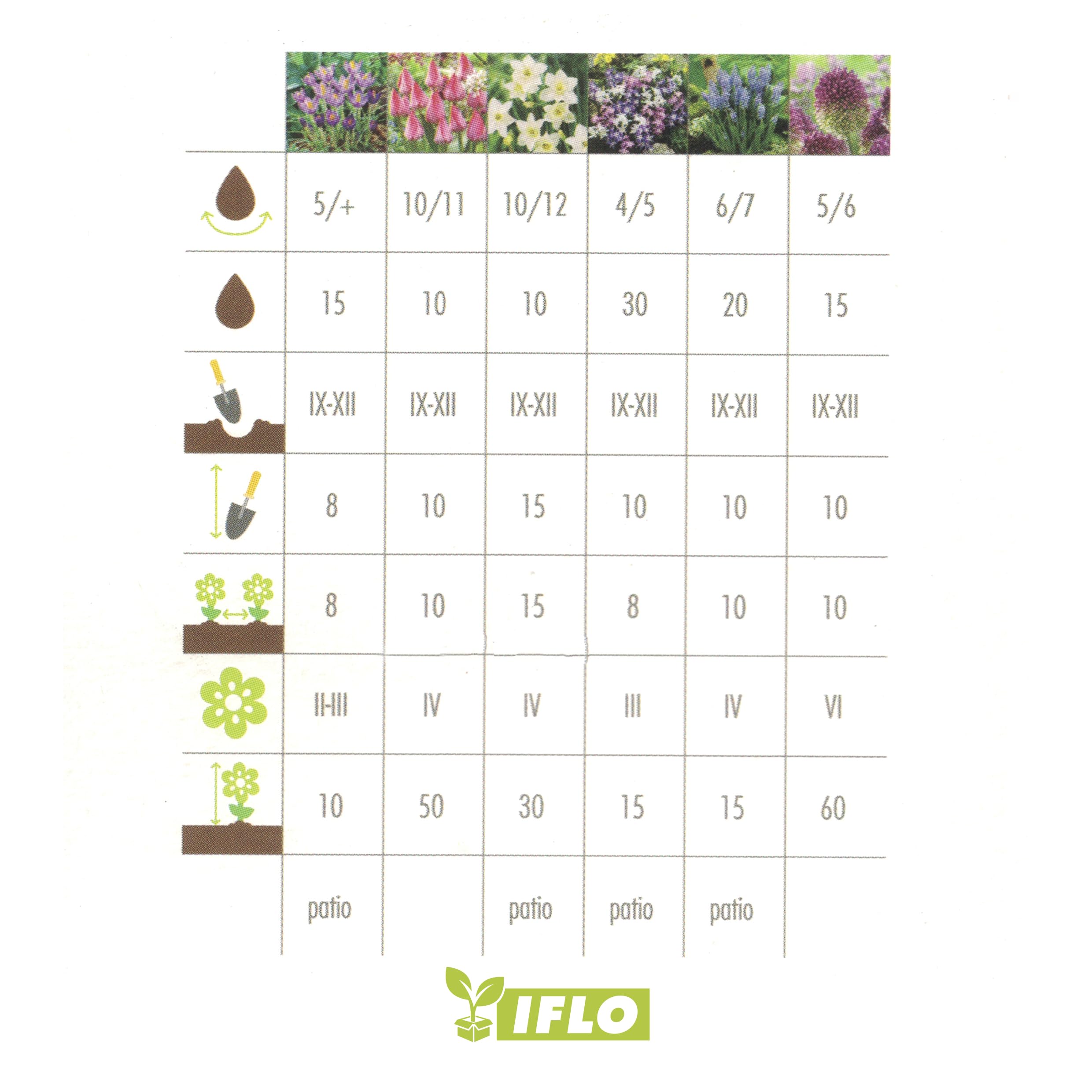 Lot de 100 bulbes de fleurs, dans un emballage cadeau, pour le jardin et le balcon, multicolores, vivaces, pour pot et parterre (mélange de 100 bulbes, bleu)