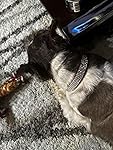 Review Image by Cynthiatravelingqueen Cynthiatravelingqueen