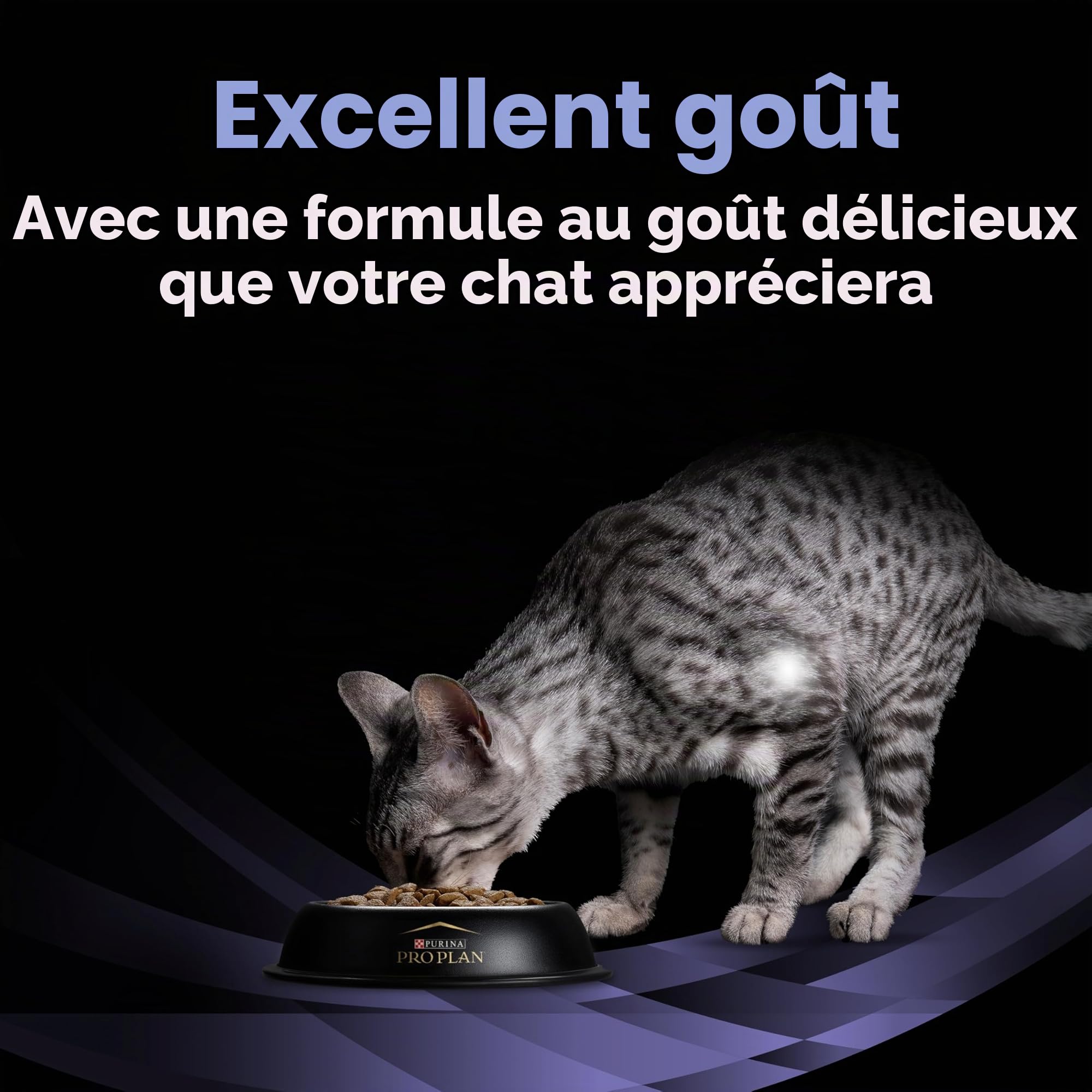 Pro Plan FortiFlora Sachet de probiotiques pour chat 30 x 1 g
