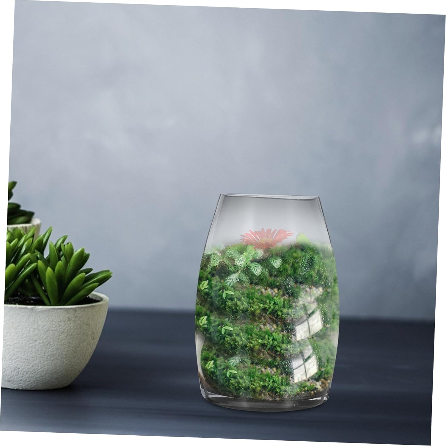 Toyvian Glass Terrarium for Plant Hydroponics Decorative Small Fish Tank Vase for Home Office Versatile Moss Container for Creative Landscapes