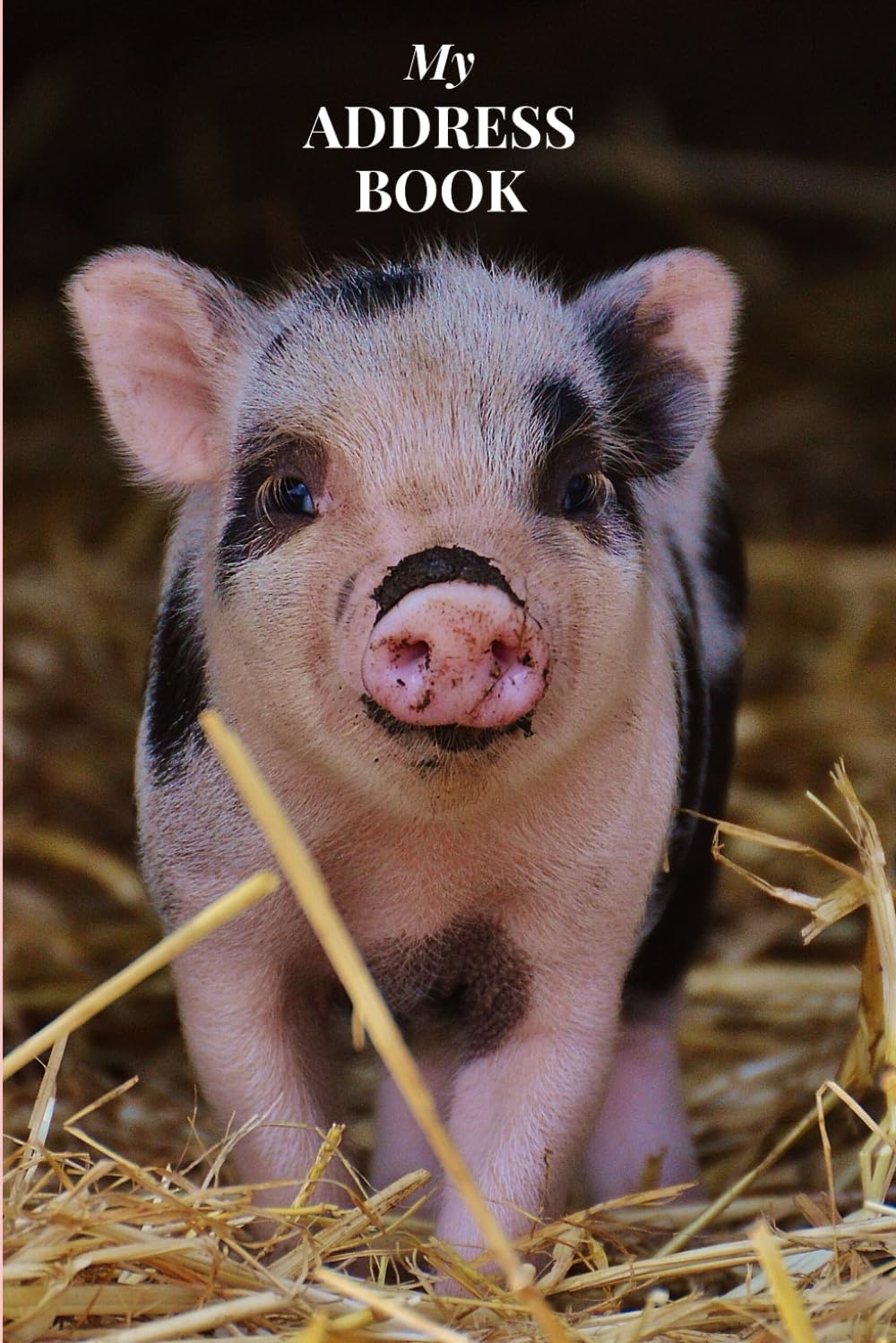 My Address Book: Pig Cover | Address Book for Names, Addresses, Phone Numbers, E-mails and Birthdays