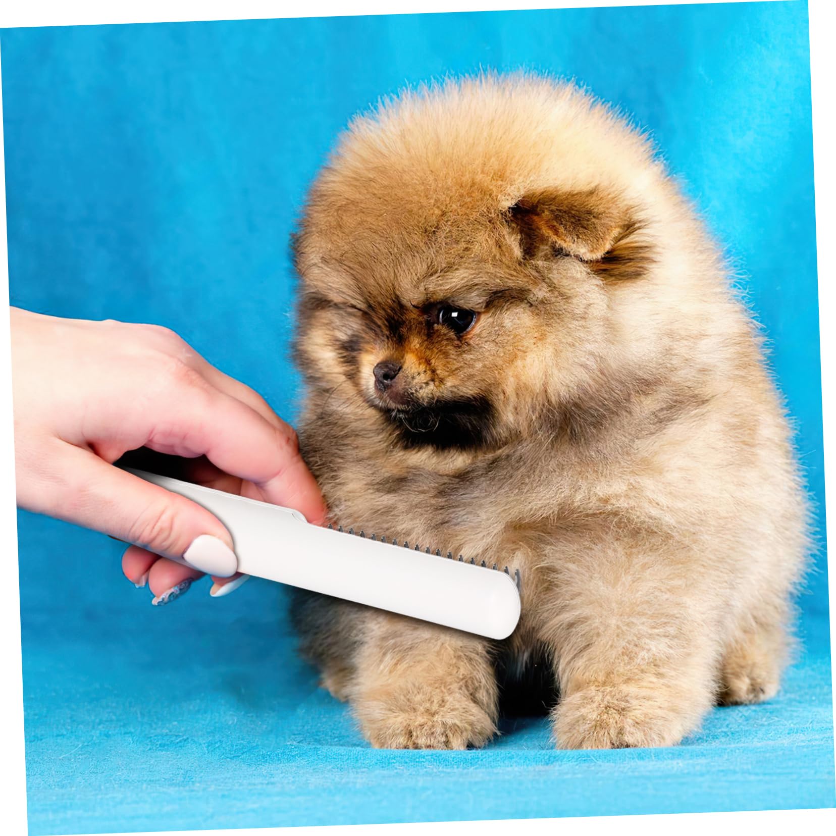 Mipcase Pet Combing Brush Set 2 Pcs Deshedding Dog Brush Dematting Comb Easy Operation Lightweight for Travel