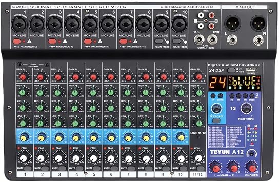 TEYUN 12 Channel Audio Mixer, Professional DJ Mixer with USB/Bluetooth, 48V Phantom Power, Built-In Digital Effects for Music Recording, Live Stage, YouTube, TikTok Streaming