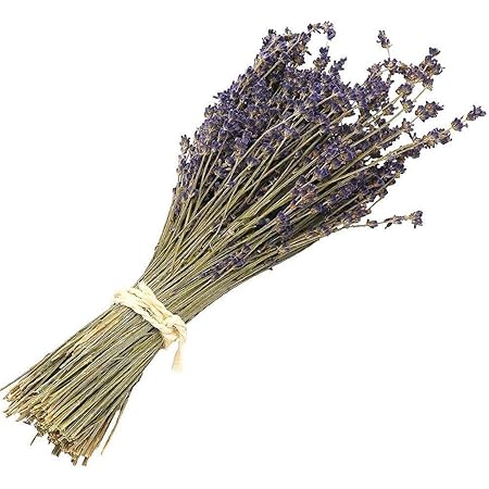 Natural Dried Lavender Bundles - Freshly Harvested Lavender Bunch Royal Velvet Decorative Flowers Bouquet for Wedding DIY Home Party (Lavender-120g)