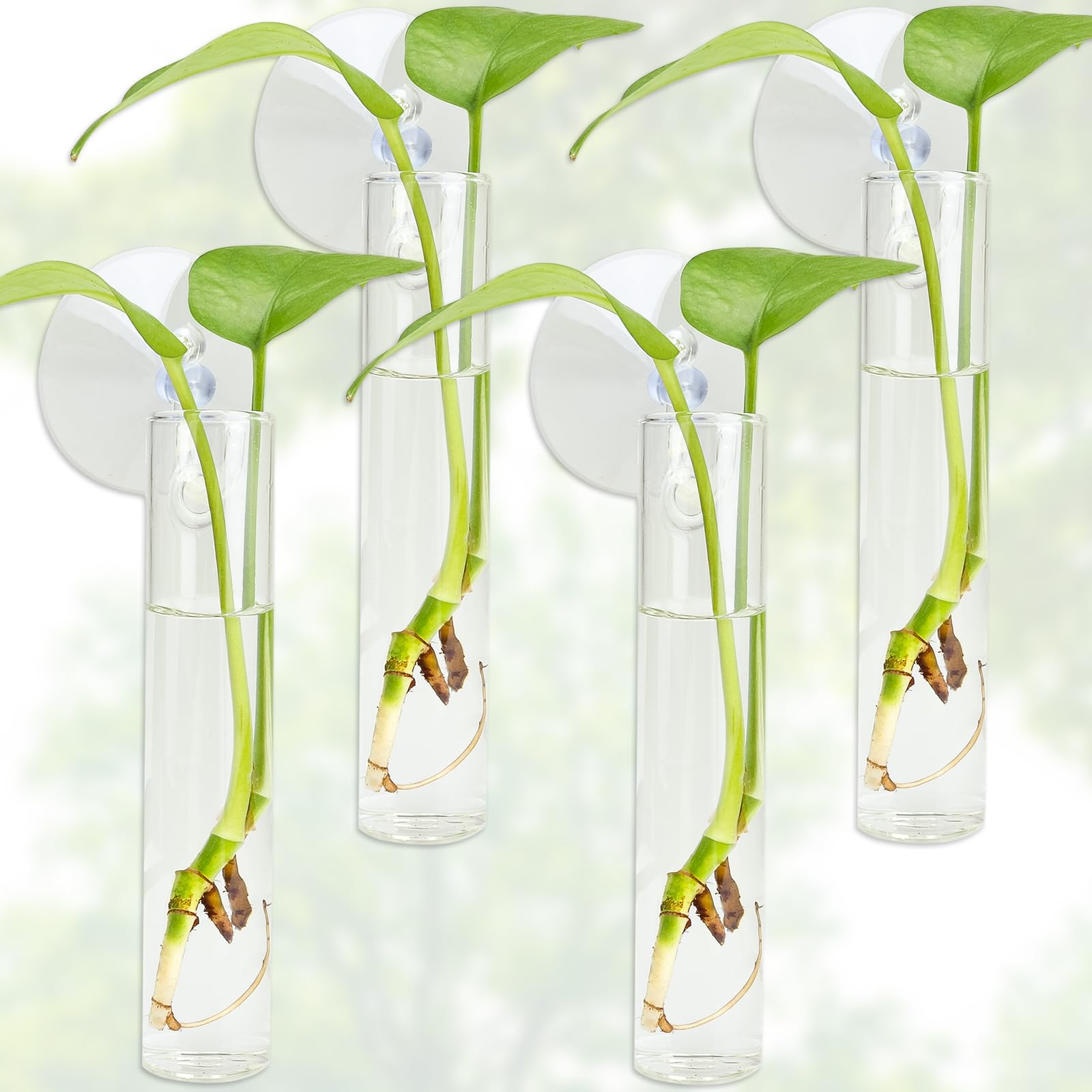 FOWSRHRG 4PCS Wall Hanging Planter Propagation Stations, Plant Tube with Suction Cup Hook, Test Tube Propagation Station Wall Clear Plant Vase No Nails with Bottle Brush Flower Plant Terrarium