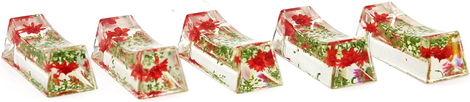 N&N Find Japan Japanese Chopstick Rest/Spoon Fork Knife Holder with Real Flower in Acrylic (Asparagus Red)
