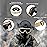 SPOSUNE Airsoft Goggles Anti Fog Army Tactical Goggles with 3 Interchangeable Lens UV400 Protection Over Glasses Airsoft Eye Protection Desert Goggles
