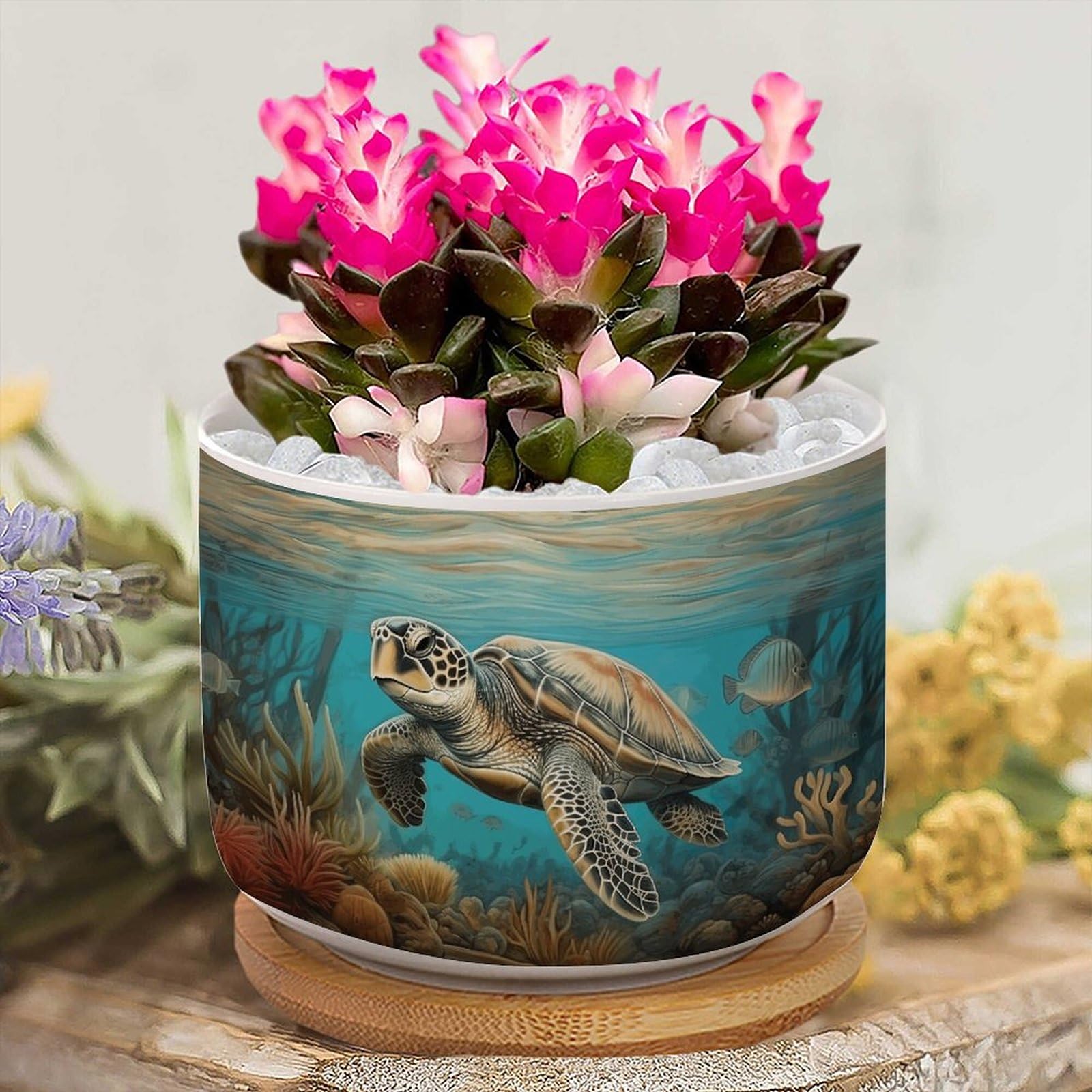 forget me not plant seeds Bulk Forget Me Not Seeds - Mixed Colors