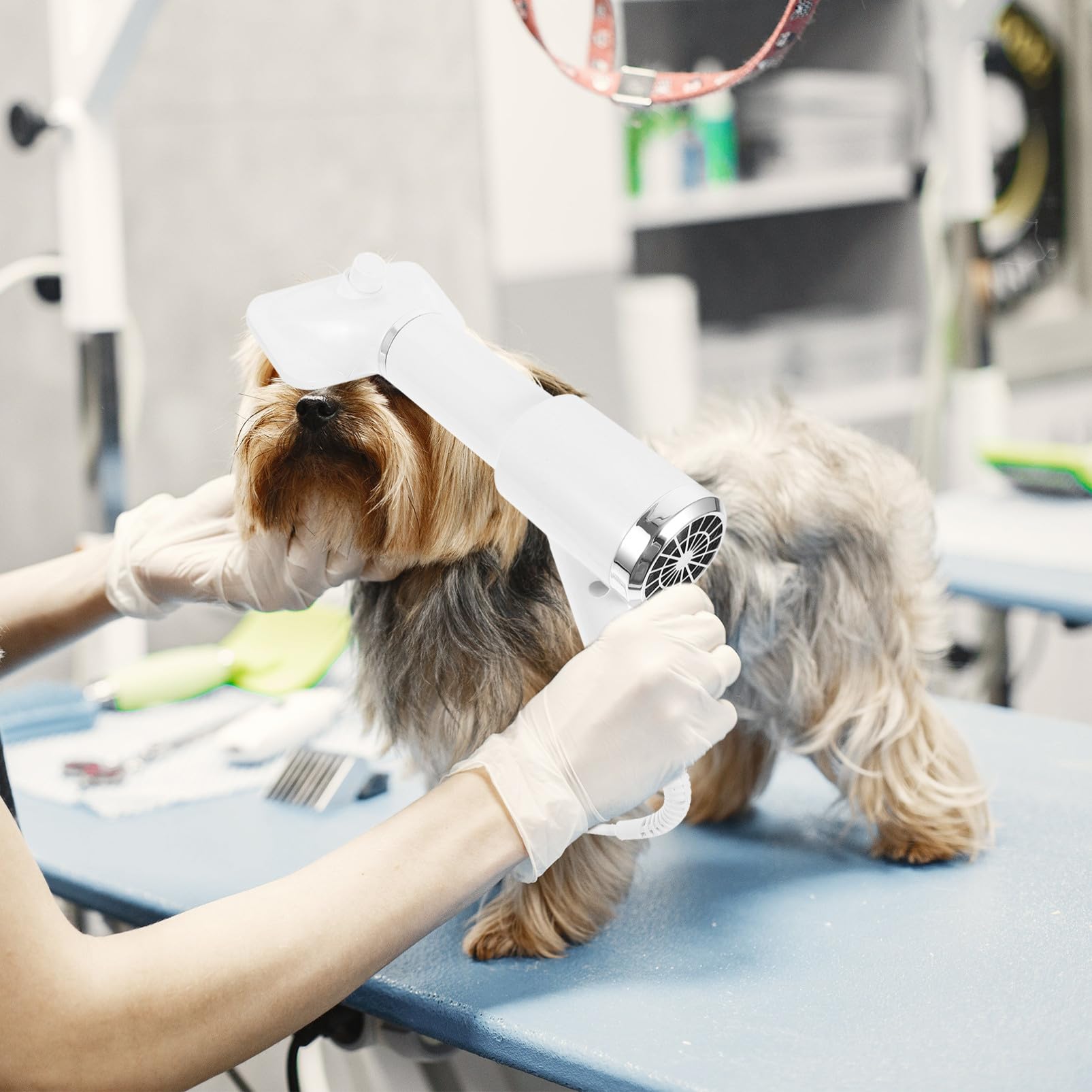 Brosse Séchoir à Poils de Chien, Peigne de Toilettage Électrique | Chat et Chien, Plastique Blanc, Format Portable, Fonction Démêlante et Séchage Chaud