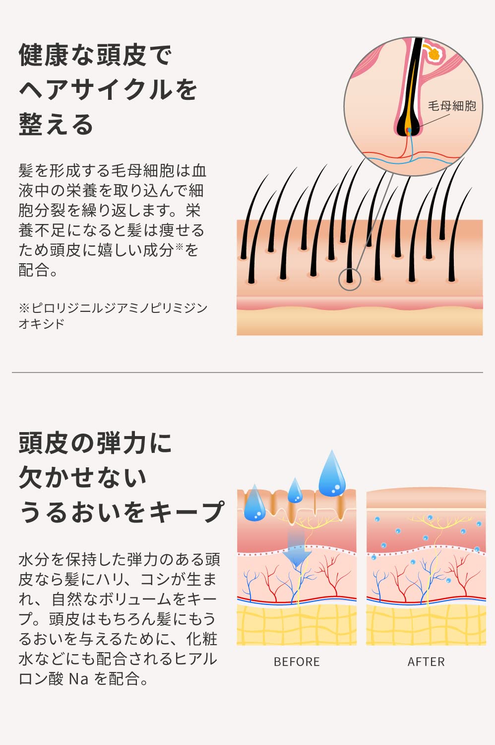 Amazon | Areti（アレティ） トライアクティブ シャンプー