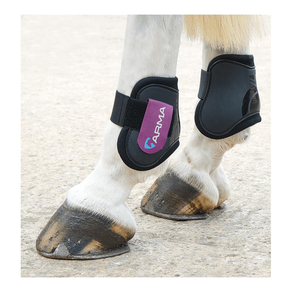 Shires Arma Fetlock Boots Black/Plum Cob/Full