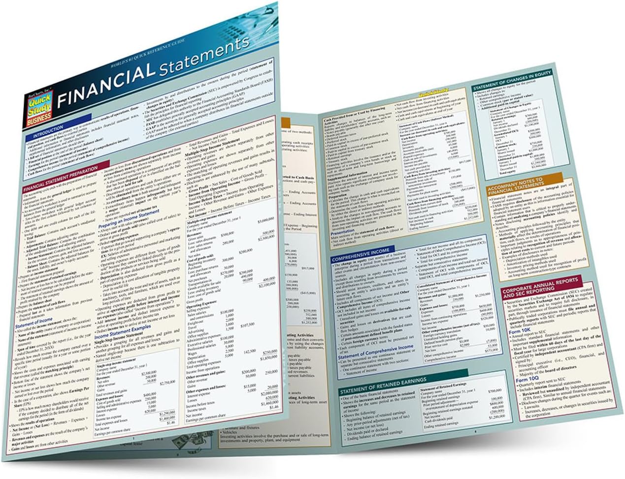 Financial Statements: QuickStudy Laminated Reference Guide