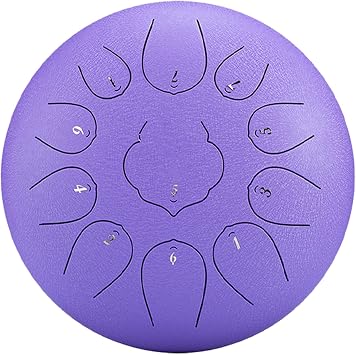 Steel Tongue Drum 11 Notes 10 Inches Tongue Drum Handpan Drum Notes Percussion Instrument C-Key Steel Drums Instruments with Bag, Music Book, Mallets, for Musical Education Concert