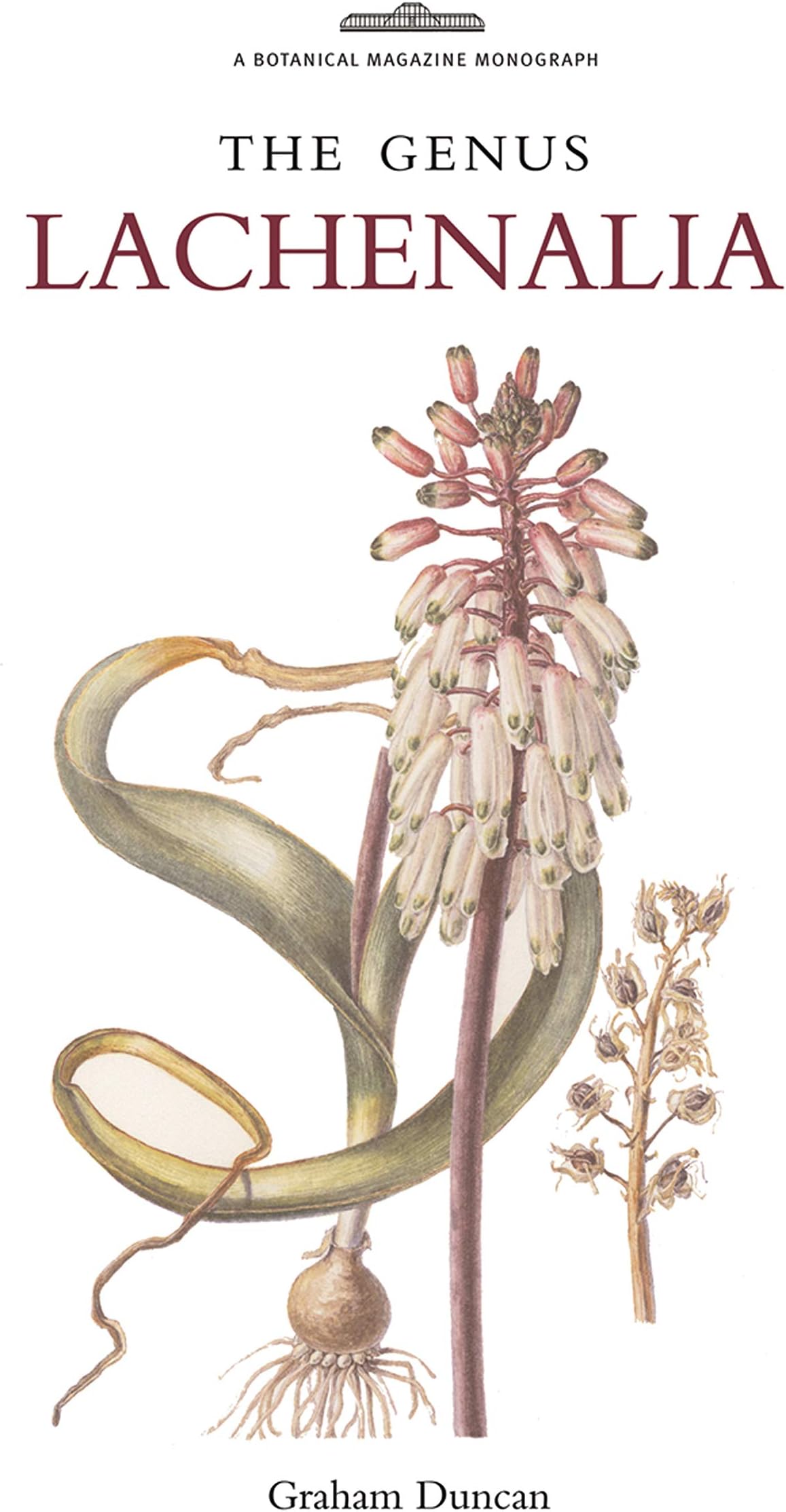 Botanical Magazine Monograph: The Genus Lachenalia