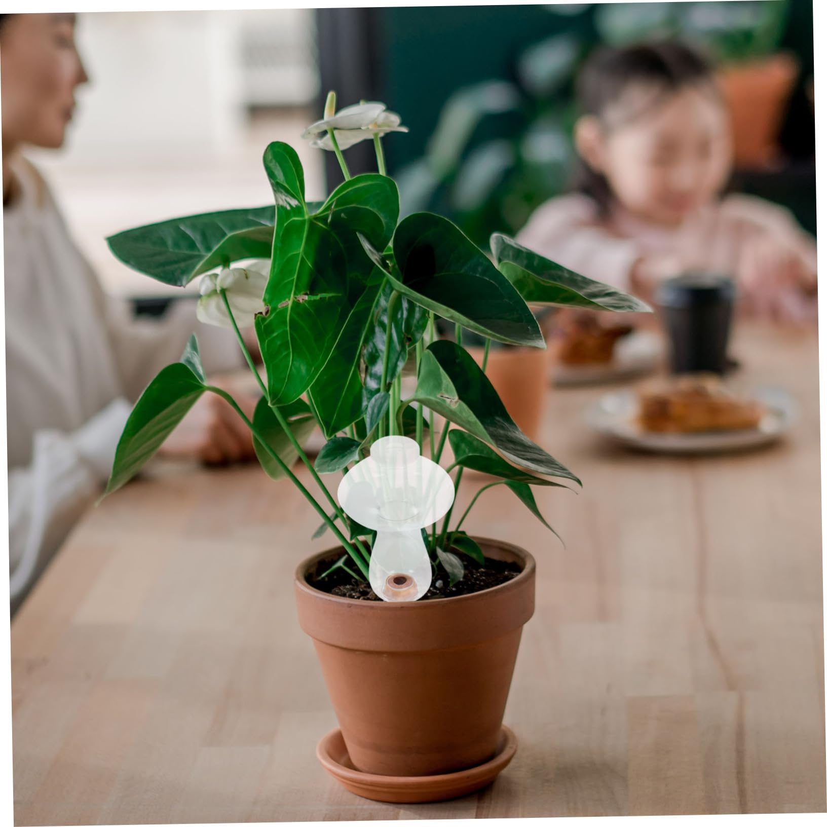 TOYANDONA 4 Ensembles Arrosage Automatique des Fleurs Dispositif D'Arrosage À pour Plantes D'Intérieur Système D'Arrosage Automatique pour Plantes 2 pièces * 4