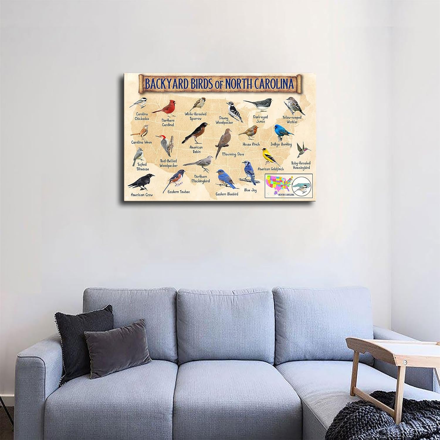 Backyard Birds of North Carolina Bird Watching Poster