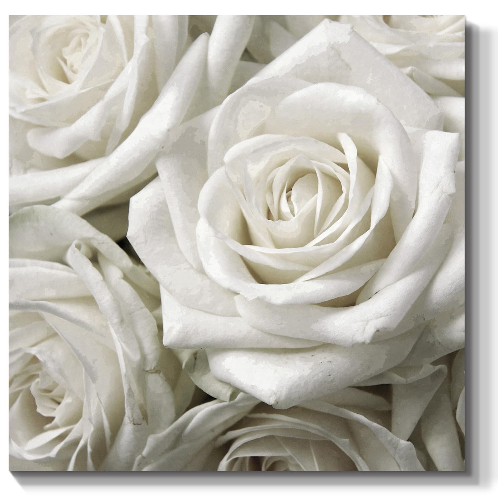 Bluegrass Valley Art White Rose Canvas Prints Wall Art Modern Abstract Flowers Picture Minimalist Art Home Decor for Living Room Bedroom Bathroom Decoration Gifts, 12"x 12" Framed