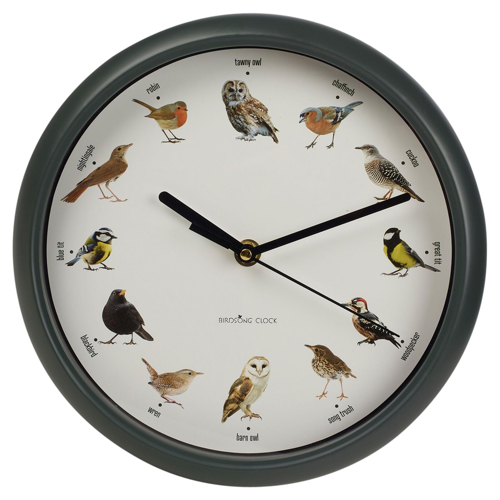 Bird Wall Clock with Real Bird Sounds Each Hour - Singing Birds Musical Clock for Home Wall Decor - Hanging Clock with Hourly Bird Chirp Sounding