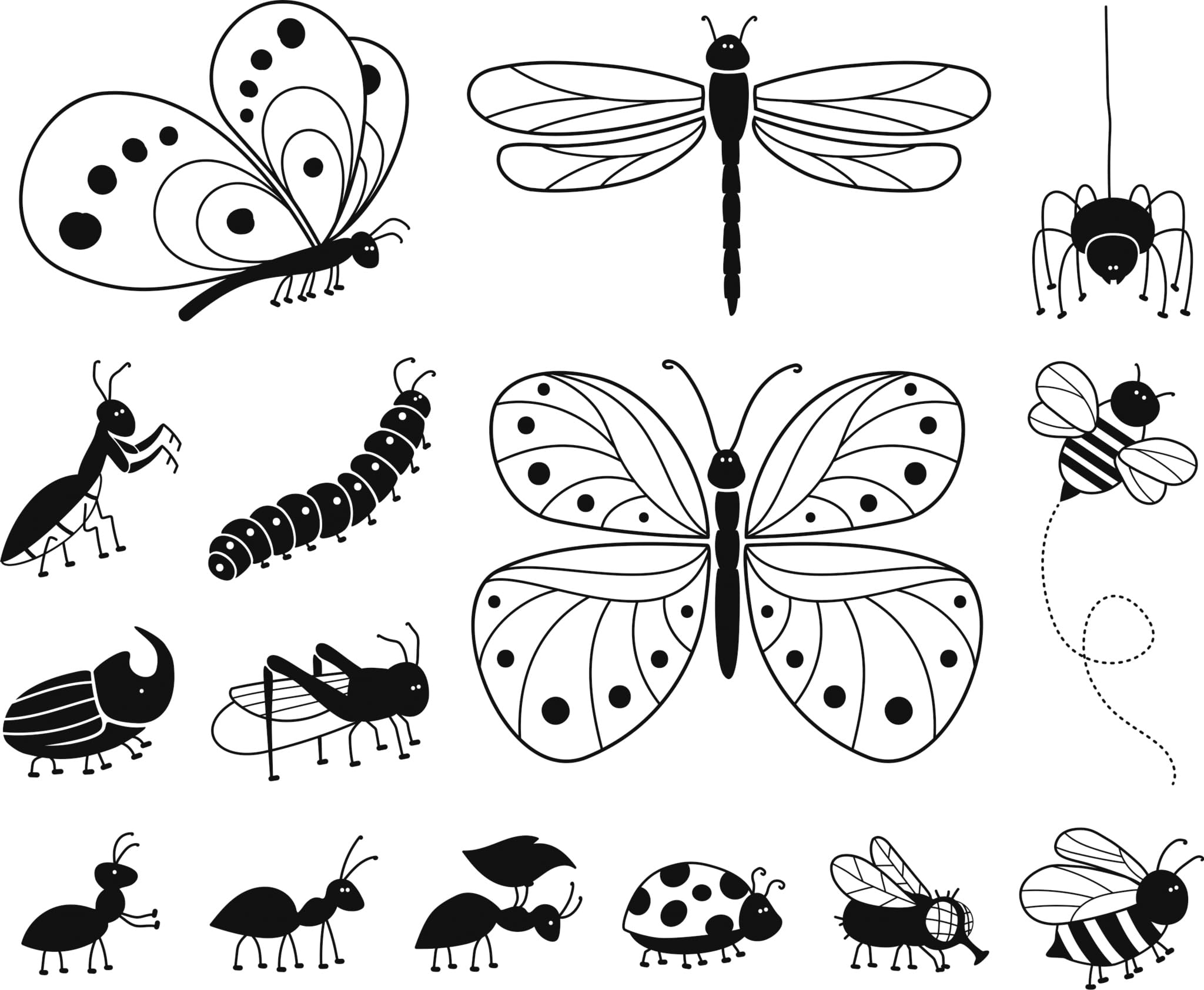 Amazon.co.jp: HEYDA スタンプセット 虫 W/H/D:120mm×30mm×100mm