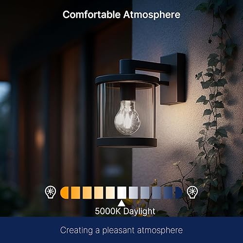 Miniatura 6 de FLSNT Bombilla LED A19 con sensor de atardecer a amanecer, luz diurna de 5000 K, 7 W (60 W equivalente), 800 lúmenes, base E26 de filamento vintage,