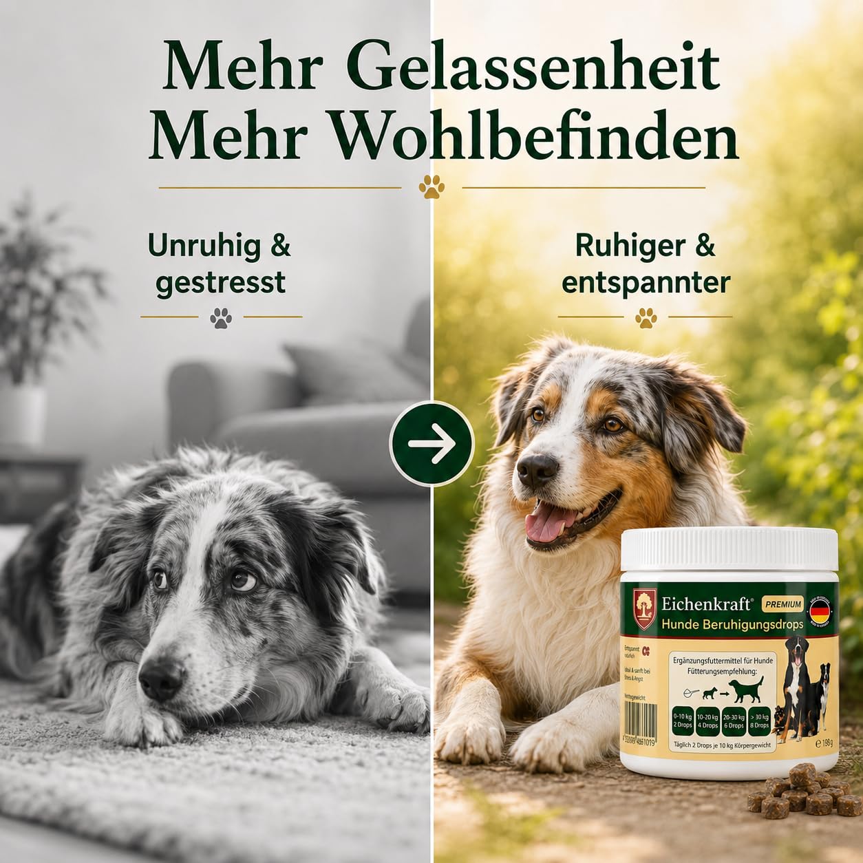 Hunde Beruhigungs Drops 270g | Kausnacks Hund für Beruhigung & Entspannungs- Anti-Stress-Mittel mit Baldrian, Ashwagandha, Johanneskraut, Hund beruhigen, Silvester, Autofahrt, Stress, Leckerli