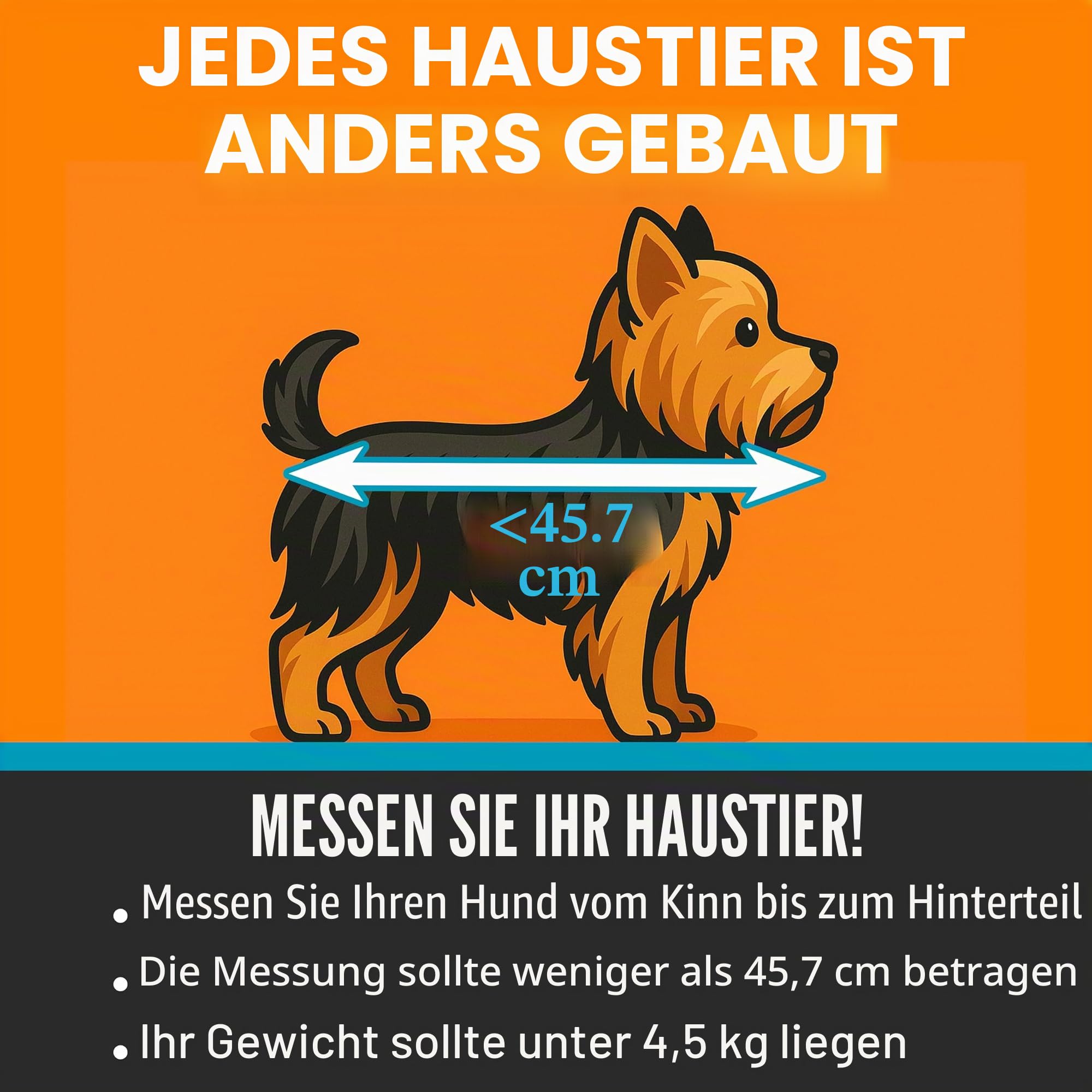 K&H PET Products Reise-Sicherheitstasche für Haustiere, Hundebox für Autoreisen, weiche Seitentasche für Katzen und kleine Hunde, tragbare Autositz-Zwinger, grau/schwarz, klein, 43,2 x 40,6 x 38,1 cm