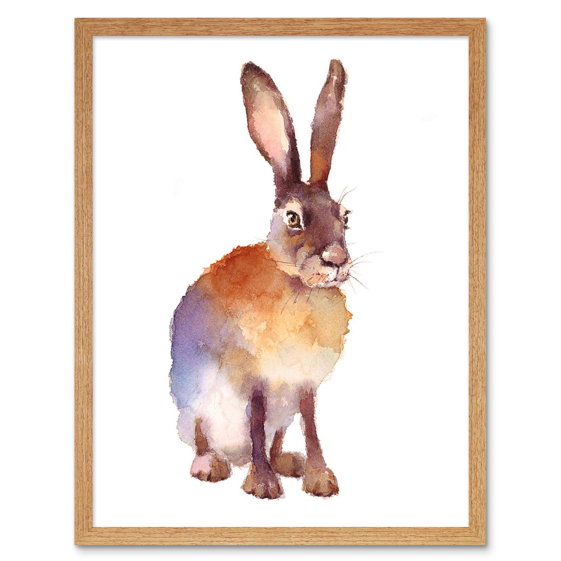 Wee Blue Coo Hare Watercolour Isolated Art Print Framed Poster Wall Decor 12X16 Inch