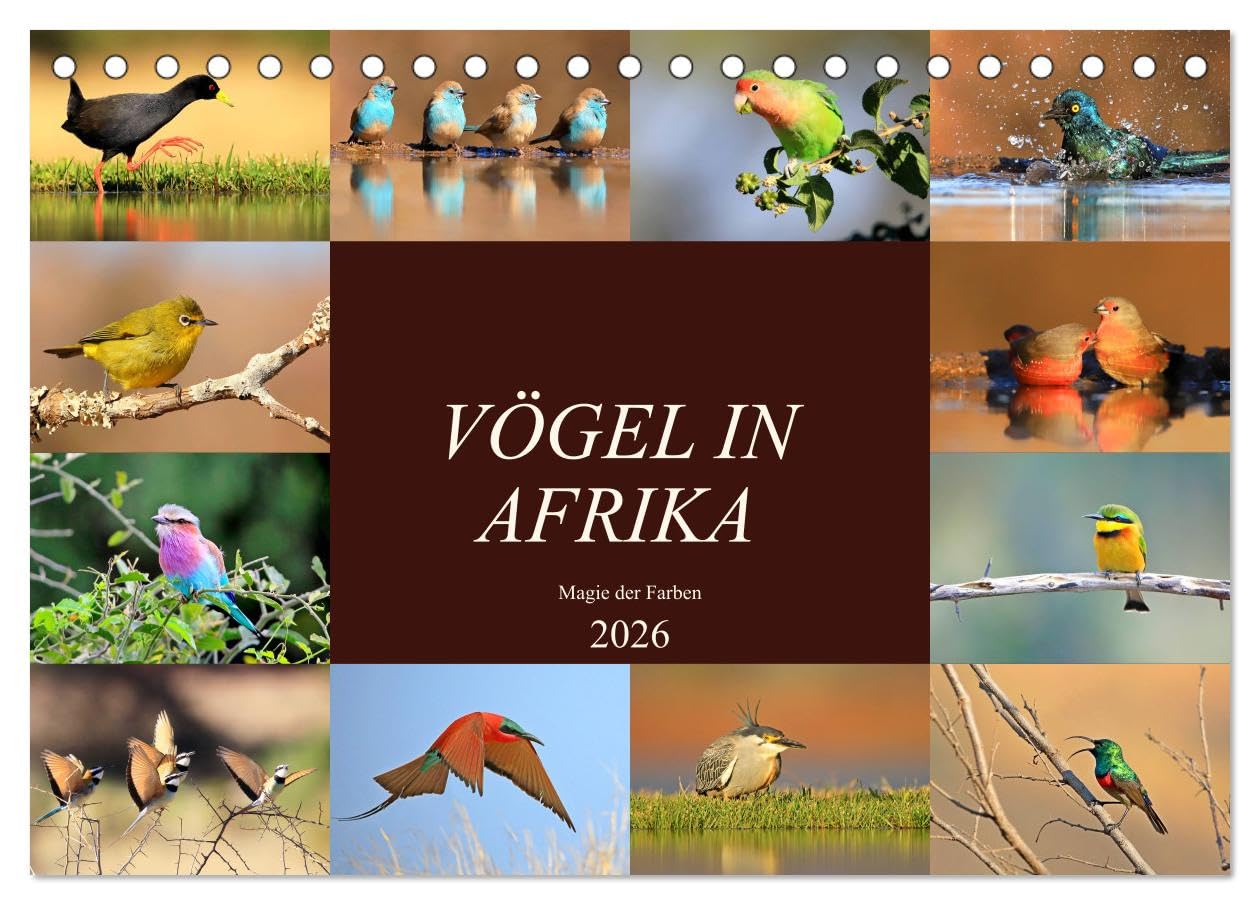 Vögel in Afrika - Magie der Farben (Tischkalender 2026 DIN A5 quer), CALVENDO Monatskalender: Afrika - auch ein Vogelparadies! (CALVENDO Tiere)