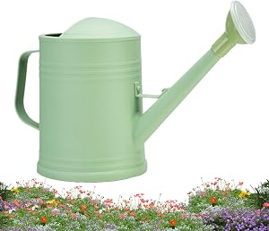 Watering Can Outdoor - 2 Liter Comfortable Grip with Sprinkler Head,Long Spout Flowers Watering Pot,for Lawn Backyard Porch Elderly Professionals Neighbors Gardeners