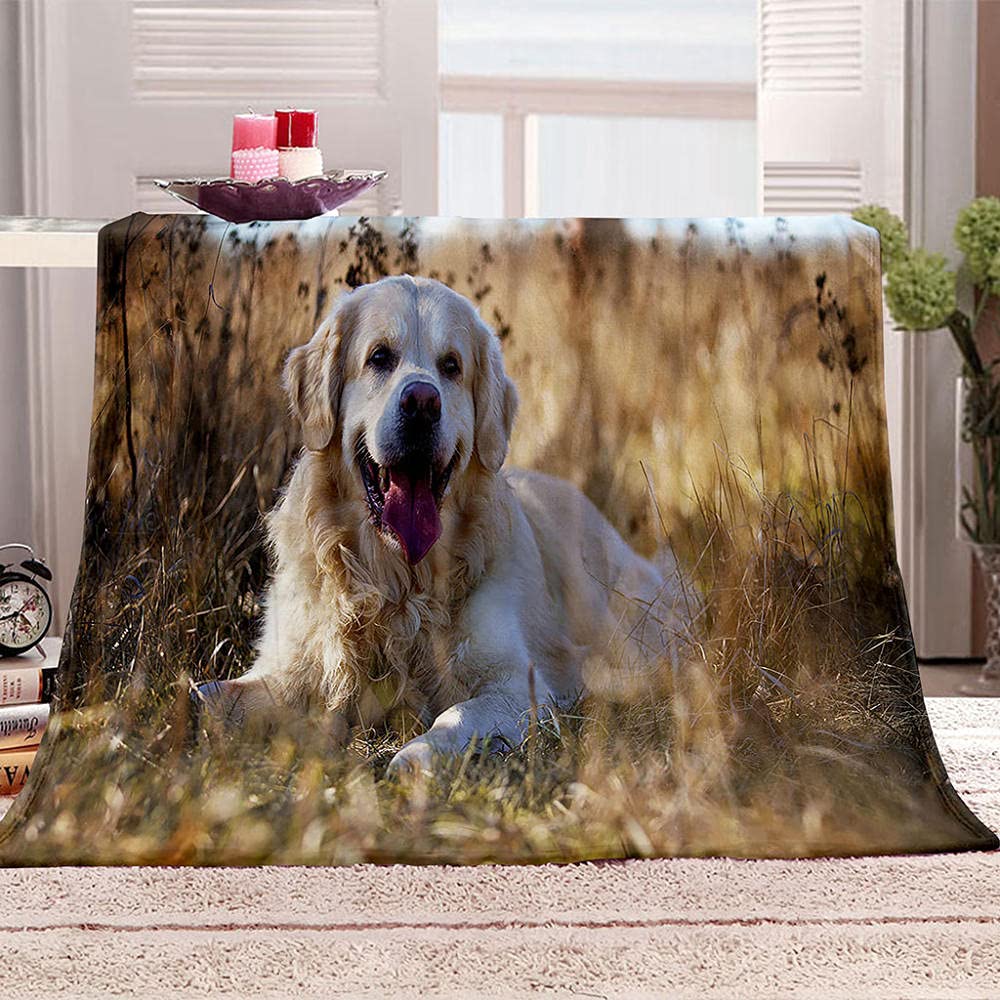 Coperta Gatto Nero 3D Per Divano - Sherpa Morbida Con Stampa Animale - 150x200 Cm - Foto 10