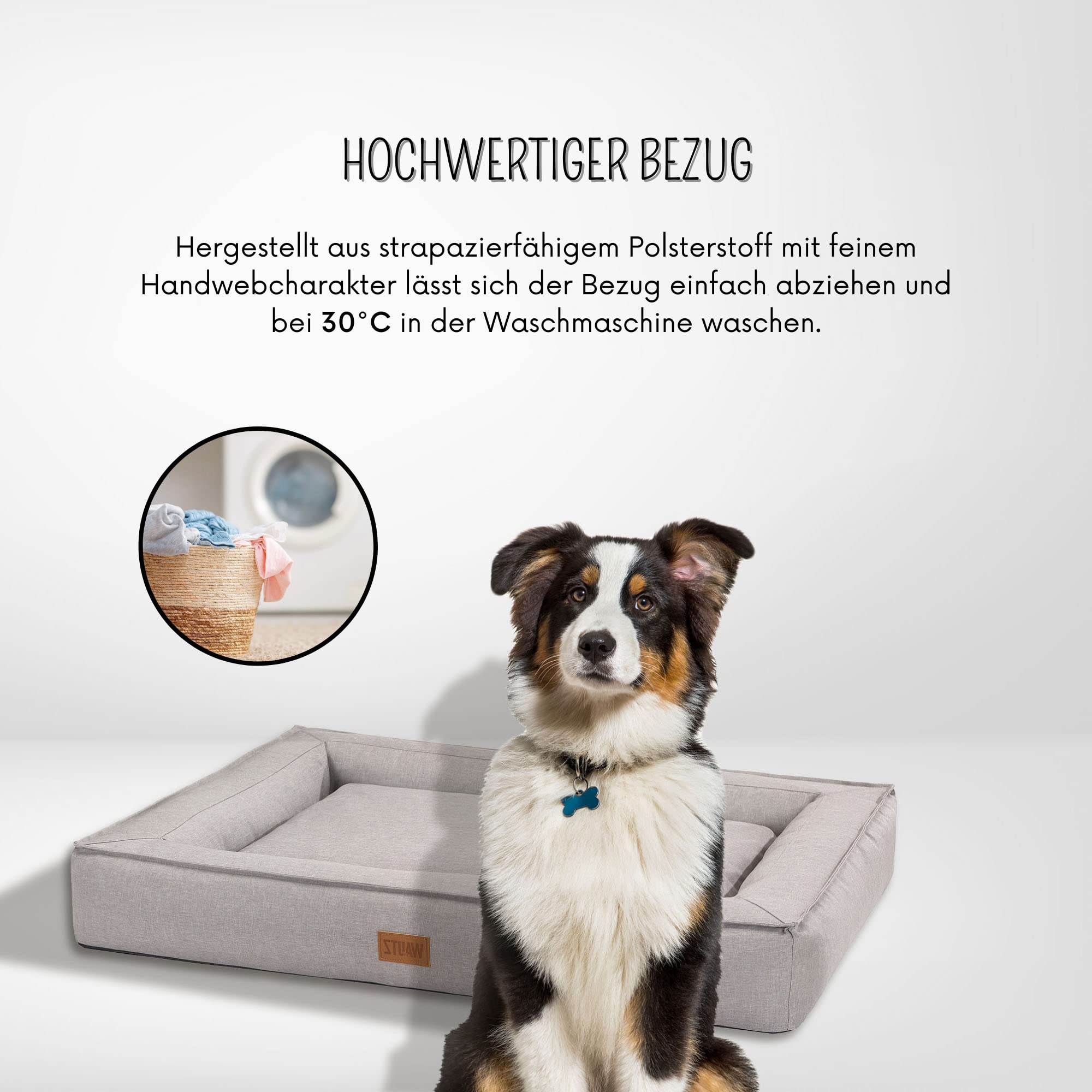 MSS e.K. Hundebett BOXBED 105 x 80 cm XL in Beige Hundekorb mit abnehmbaren Velours-Bezug und weicher Polsterung waschbares Hundekissen 105 x 80 x 19 cm Hundematte Hundesofa Welpenbett