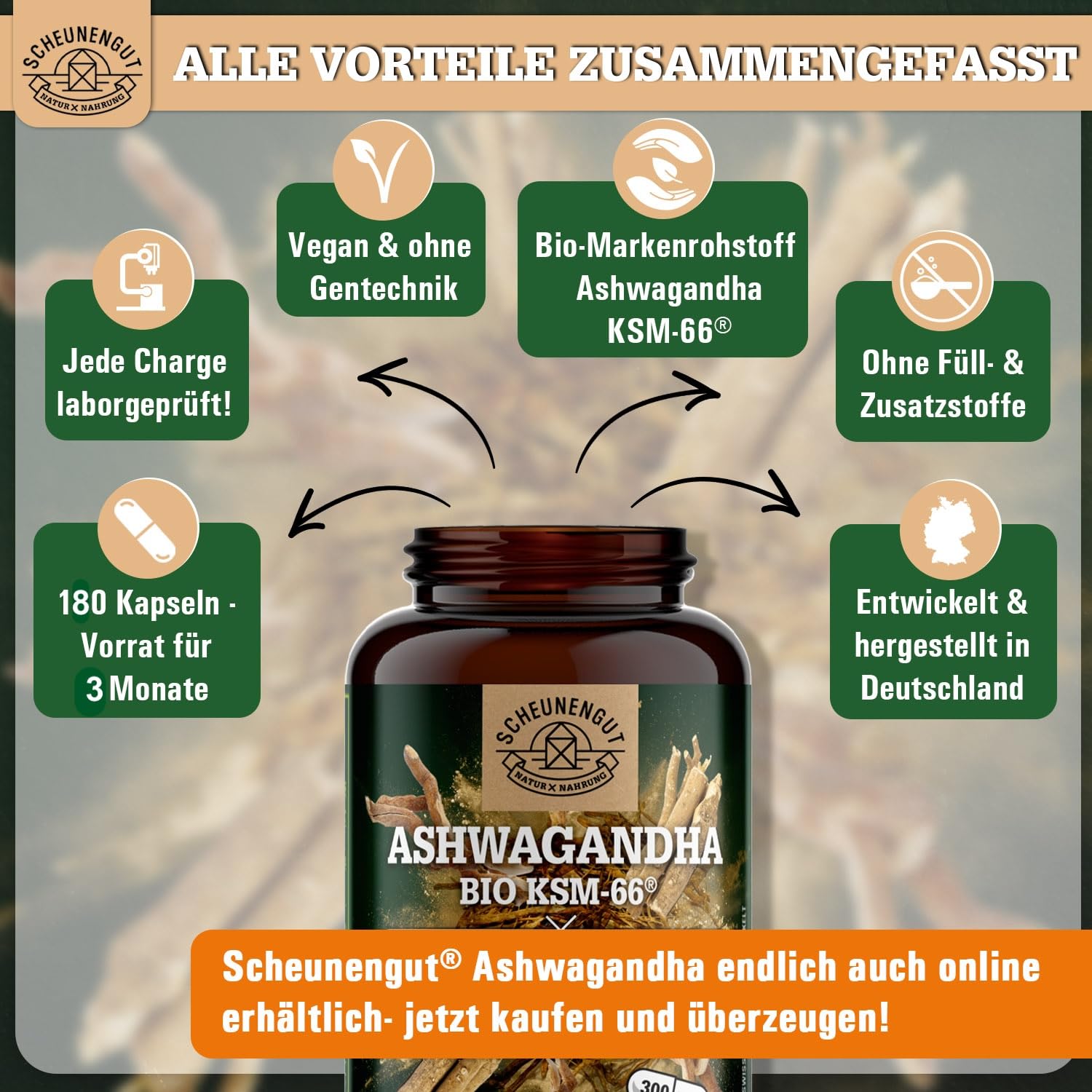 Ashwagandha KSM-66 BIO - 12:1 Extrakt (=3600mg reines Ashwagandha Wurzelpulver je Kapsel) MIT 5% Withanoliden -Ashwagandha Kapseln Hochdosiert- DE SCHEUNENGUT®