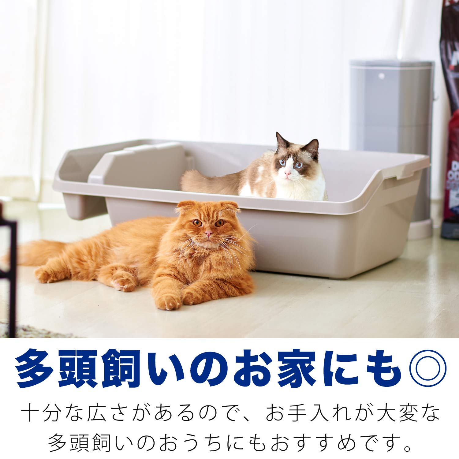 Amazon | 【OFT】 ハイレックス 大きい猫トイレ 大型 大型猫 収納