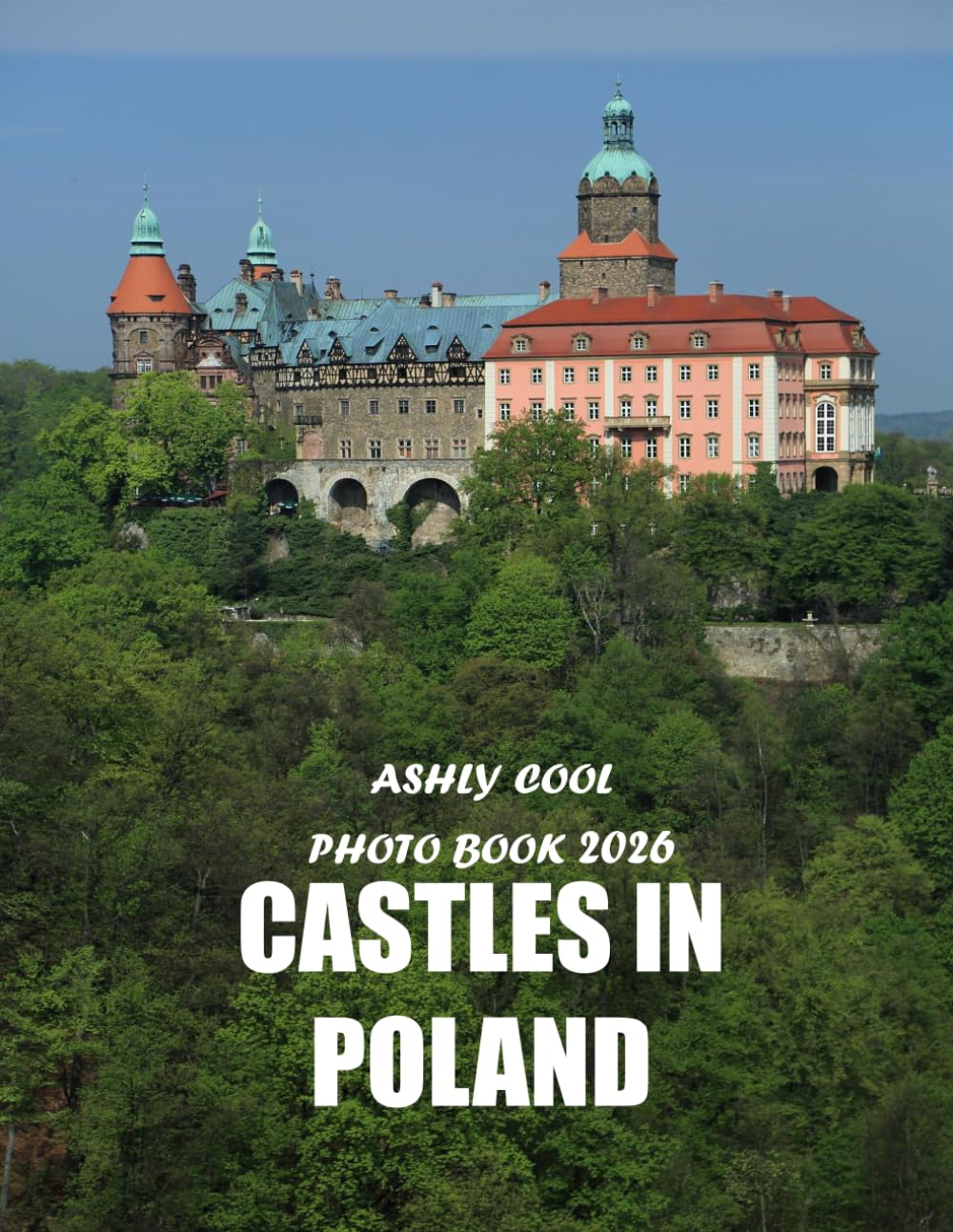 Castles in Poland: Cool Pictures That Create An Idea For You About - Perfect Gift for tourism & travel lovers.....Relaxing & Meditation.