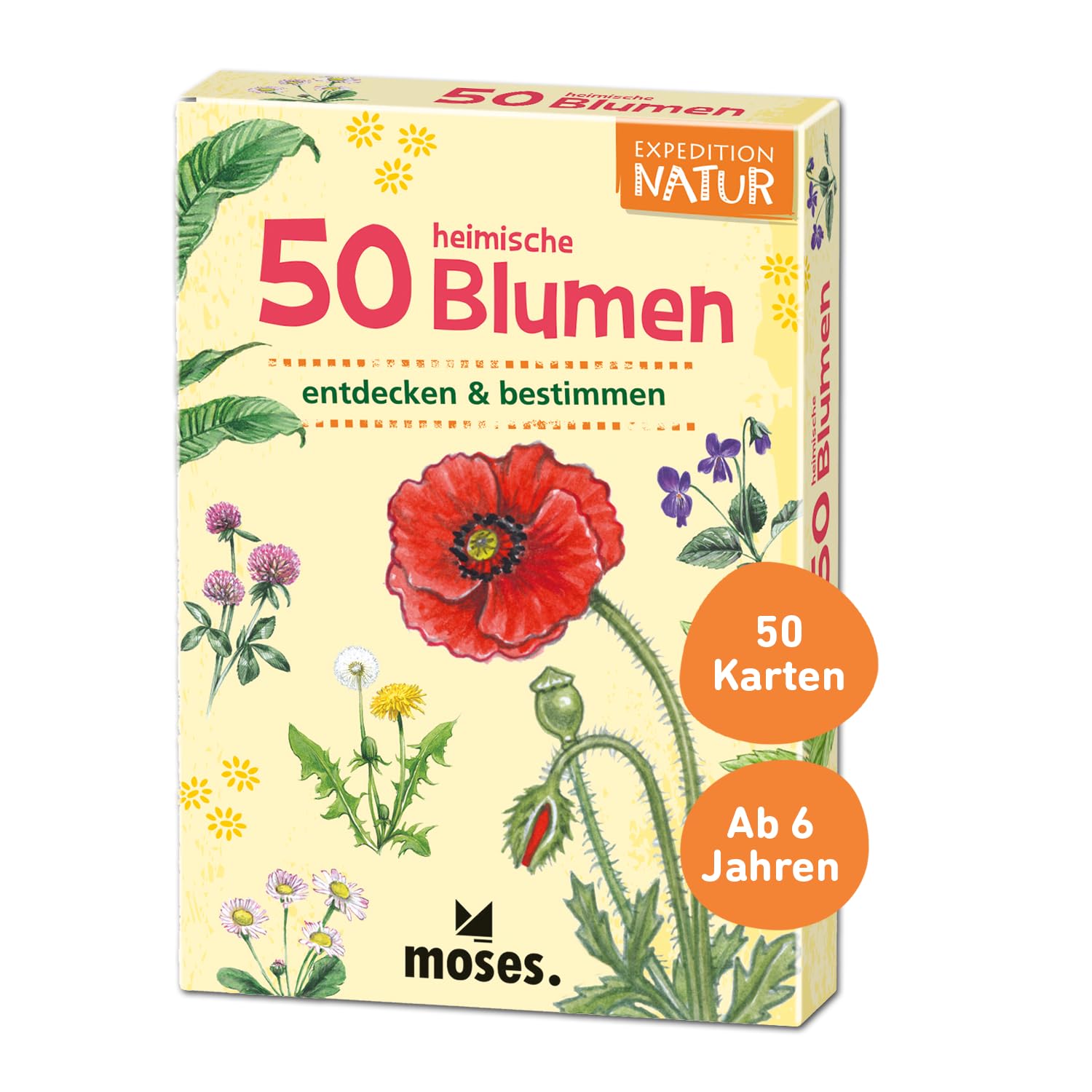 Expedition Natur. 50 heimische Blumen: entdecken & bestimmen, Yellow