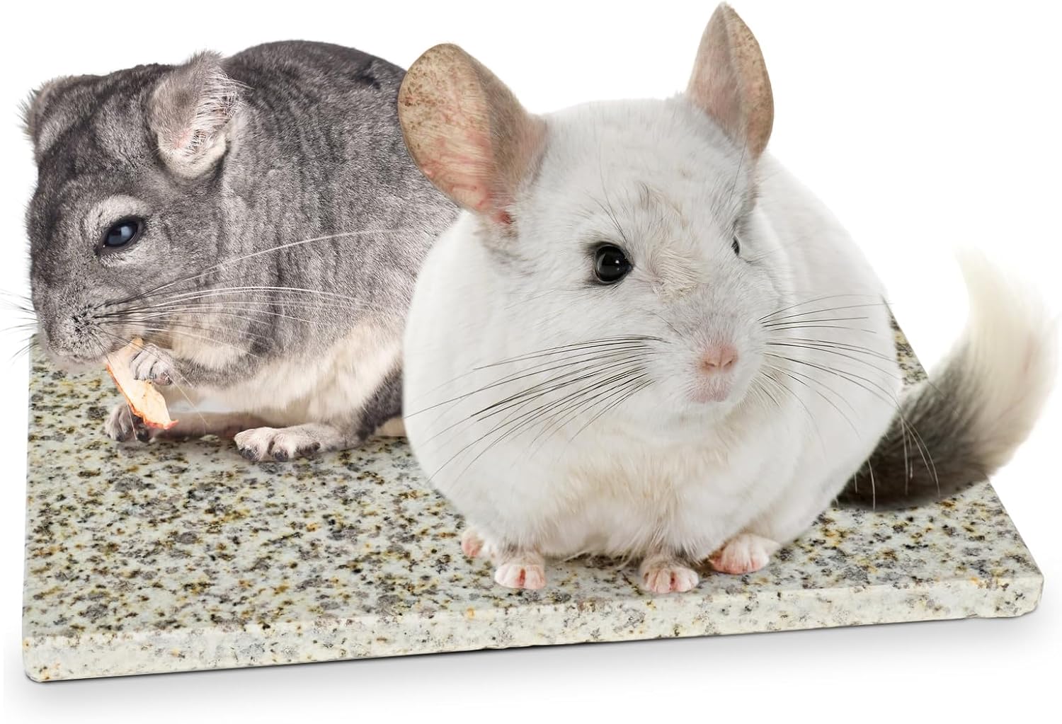 Chinchilla Cooling Stone Durable Cool Down Easy Clean in Hot Summer for Rabbit Hamster Guinea Pig Chinchilla Kitten Small Animals Spots of Gold-Grey