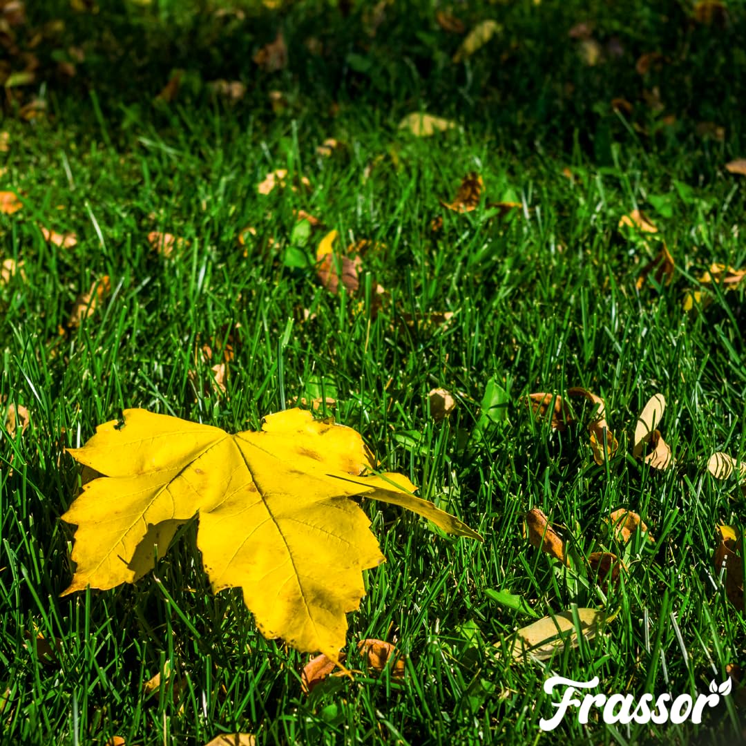 Herbst-Rasendünger All-in-One Granulat - 20kg - NPK 6-3-12 + 3MgO