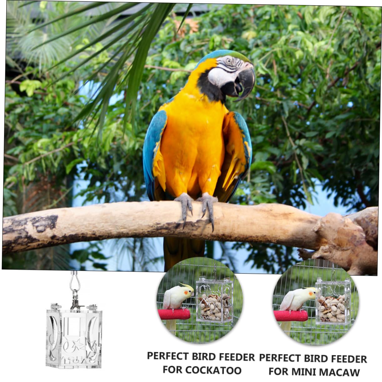 Sosoport 3pezzi Mangiatoia Per Uccelli Acrilico Gioco Intelligente Per Pappagalli e Piccoli Uccelli Foraging Toy Per Attività e Divertimento Resistente e Portatile