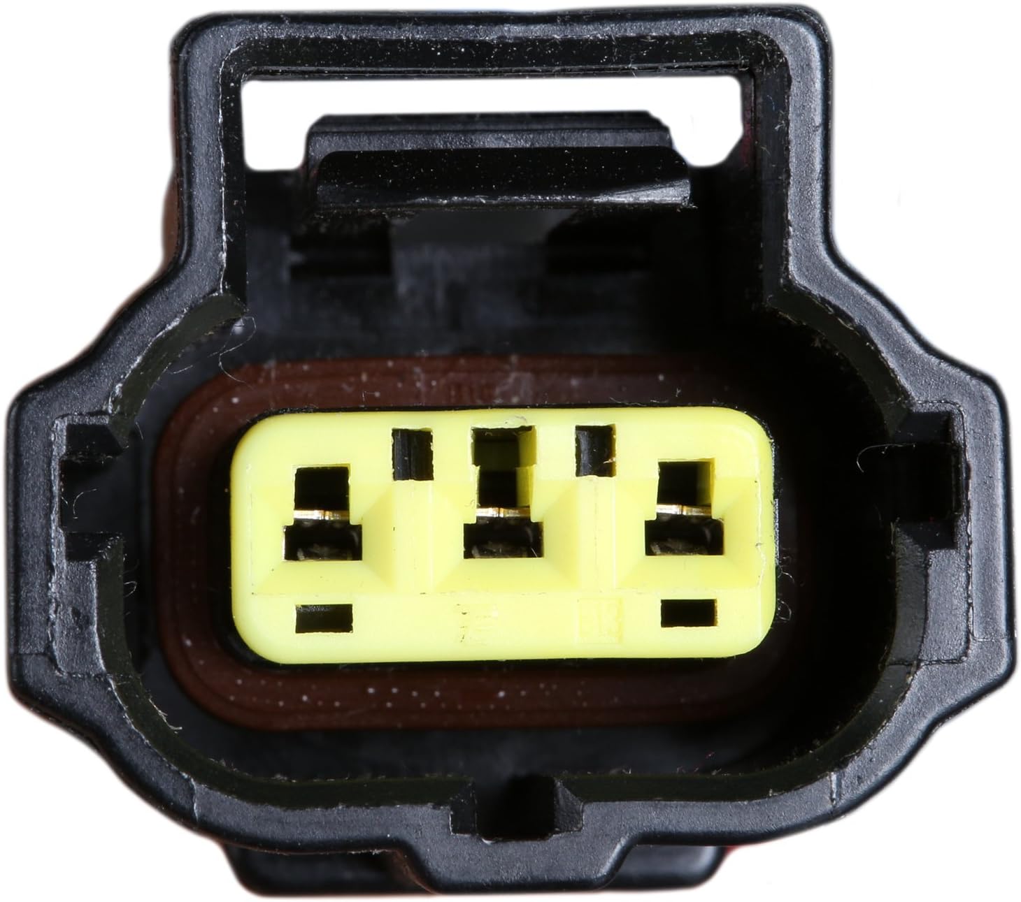 Delphi HP10244 Hanger Pump Assembly